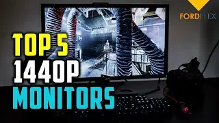 Best 1440p Monitors | Top 5 Best 1440p Monitors Reviews 2020
