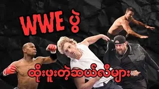 WWE ပွဲထိုးဖူးတဲ့ ဆယ်လီများ၊ သင်သိတဲ့သူတွေပါလား?