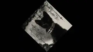 experimental beat  150bpm