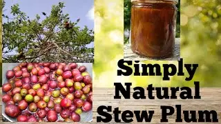 How I preserved my plums #StewPlum, #SimplyNatural