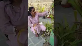 Sudarshan Plant Ke Pups Kaise Remove Kare 🌱 | Healthy Growth & More Flowers #shorts