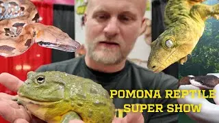 POMONA REPTILE SUPER SHOW!