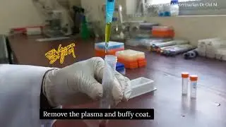 Preparation of Washed RBC/ How to washed Chicken Red blood cells