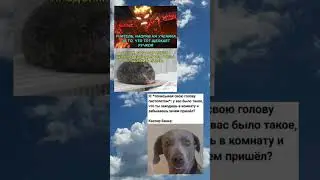 #мемы #youtube #mems #мемы_тикток #мем #shorts #fyp