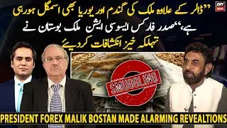 Bostan says Pakistan hemorrhaging dollars owing to smuggling and trade with Afghanistan