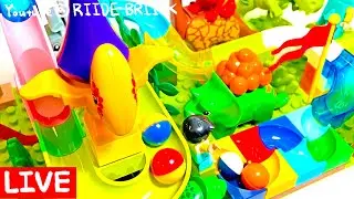 Relaxing Marble Run ASMR 10HR 😴 Perfect for Sleep, Study & Relief 🎧