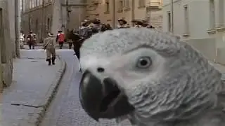 мерси боку