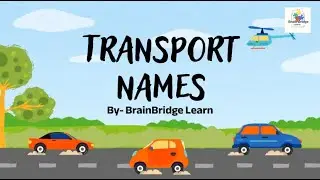 Transport Vehicles Names | Road, Water & Air | Brain Bridge Learn