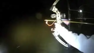 Extreme Bowfishing