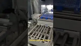 Palletizing Conveyor