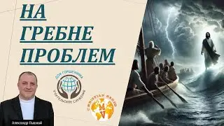 На гребне проблемы. А. Пышный.