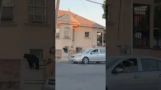 Stockton California Hoods - Wilson Way / Sierra Nevada Street