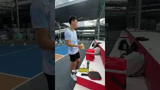chơi pickleball 4-6 buổi 1 tuần  #pickleball #badminton #ymcaenidpickleball