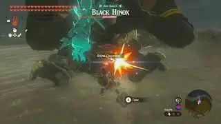 Hunting for all TOTK monster medals and getting some cool clips!