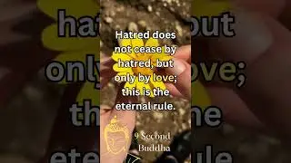Hatred vs. Love: Buddha's Eternal Rule for Inner Peace! #buddhaquotes