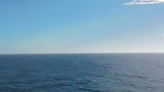 Our very own Whale on our Alaska Cruise