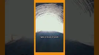 Dying Brain Consciousnes
