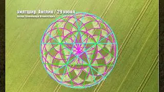 Круги на полях. Июнь 2020 / Crop Circles. June 2020