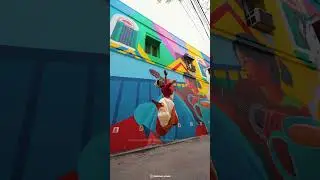 Unboxing the Nikon Z f Bold Red I Meet Your Retro Beauty