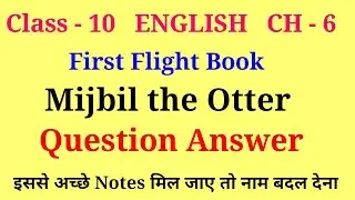 mijbil the otter question answer | first flight chapter 6 question answer