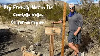 Dog Friendly Hikes in Coachella Valley