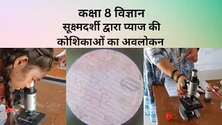 स्लाइड बनाने की विधि व सूक्ष्मदर्शी का प्रयोग #basic Use of microscope to observe onion peel cells