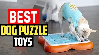 ✅Best dog puzzle toys in 2025