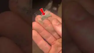 Microscopic Look at Household Dust &ndash; What&rsquo;s Floating Around You