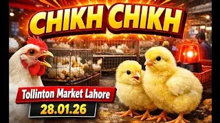 Punjab Poultry Association Punjab is live!