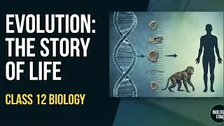 Evolution -Story Of Life on Earth Class 12th Biology NEET.