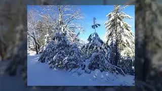 طلوع خورشید ریڈز #shortsfeed #shorrs#viral