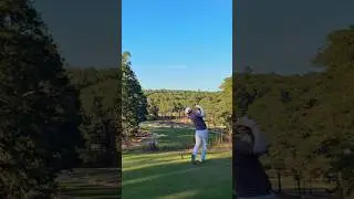Love an elevated tee shot! ⛳️ 🌲 #golf #golfswing #golfing #golfshot