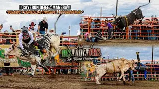 !!CAYERON DE FEA MANERA!! | DURANGO Y ZAPATISTA A OTRO NIVEL | 10 TOROS | Destructores Molalla OR 25