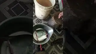 Baker fish🐠🐋🐟 cutting skills ... #fishcutting #fishcutting_skills #fishing #viralvideo #youtube