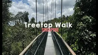 Tree Top Walk Singapore