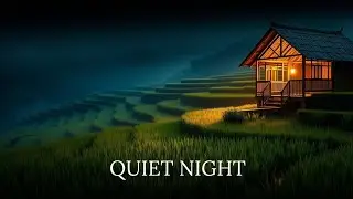 Quiet Night Frogs 🌙 Natural Sleep Sounds | 2 Hours Nature Ambience