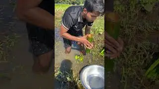 village boy traditional fishing technique #amazing #fishing #fish #youtubeshorts