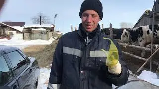 Охладитель молока своими руками при минимальных вложениях