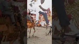 #live #song #netaji #trend #trending #trendingshorts #trendingvideo #trendingreels #viral
