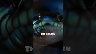 The Island of Snakes You Can&rsquo;t Visit