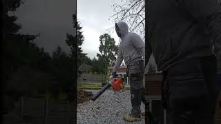 Leaf blower 