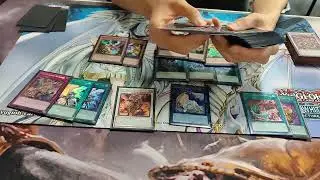 Bystial Control Centurion 2025 Undefeated