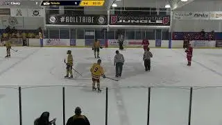 University of Toledo Hockey vs. Cleary University 11/22/2024