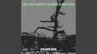 Like a Tree Planted by the Rivers of Water Jesus