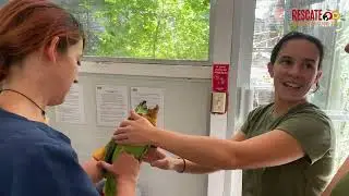 WILDLIFE VETERINARY INTERNSHIPS