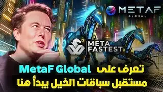 MetaF global project review | Blockchain technology is reshaping horse racing
