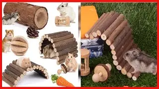 Quality product -  Sofier Hamster Toys Hamster Accessories for Cage Natural Guinea Pig Toys and Chew