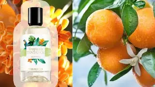 Аромат дня и макияж ТРОПИЧЕСКИЙ. Yves Rocher Tropical Tentation.