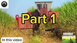 Growing and harvesting of sugarcane for sugar | sugarcane farming | agriculture technology