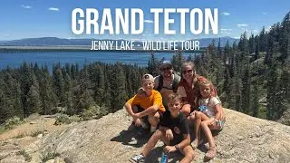 Grand Teton Adventure Day 2 | Jenny Lake, Jackson Hole & Sunset Wildlife Tour!